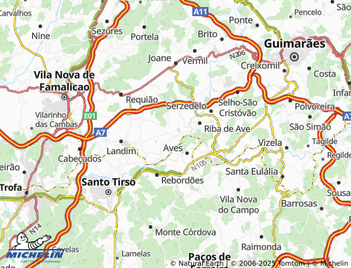 MICHELIN Delães map - ViaMichelin