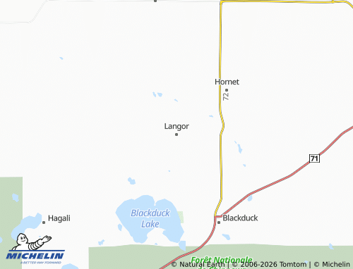 Mapa MICHELIN Langor - ViaMichelin