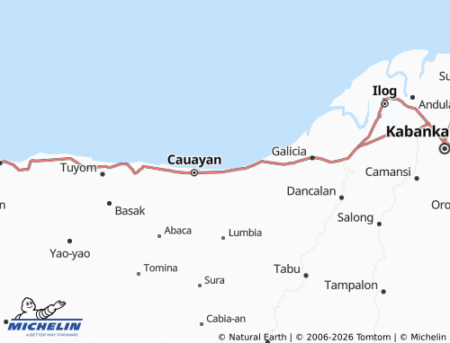 MICHELIN Tiling map - ViaMichelin