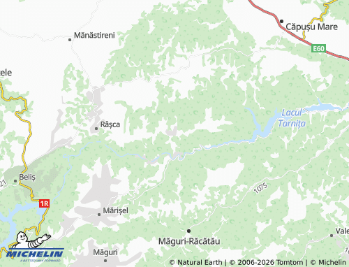 MICHELIN Lăpuștești map - ViaMichelin