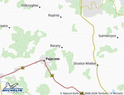 MICHELIN Barany map - ViaMichelin