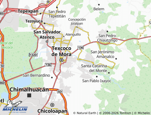 Carte MICHELIN Xocotlán - ViaMichelin
