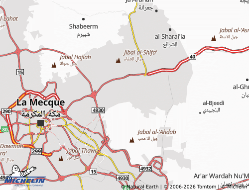 MICHELIN-Landkarte maad - ViaMichelin