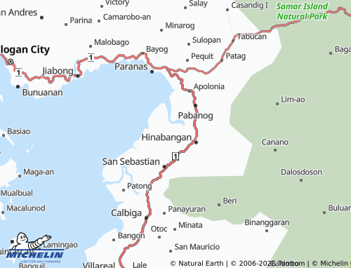 MICHELIN Osmeña map - ViaMichelin