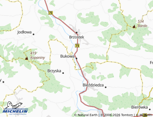 MICHELIN Bukowa map - ViaMichelin