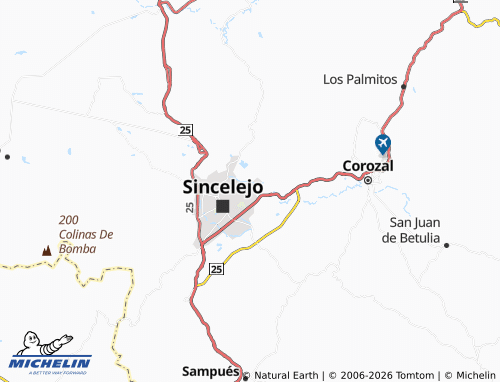 Carte MICHELIN Nueva Venecia - ViaMichelin