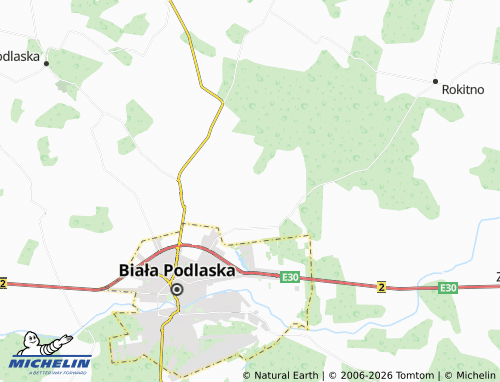 MICHELIN Wilczyn map - ViaMichelin