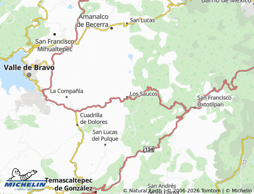 MICHELIN Los Saucos map - ViaMichelin