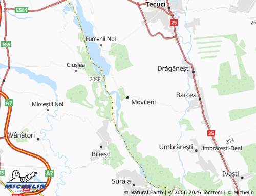 Mappa MICHELIN Movileni - ViaMichelin