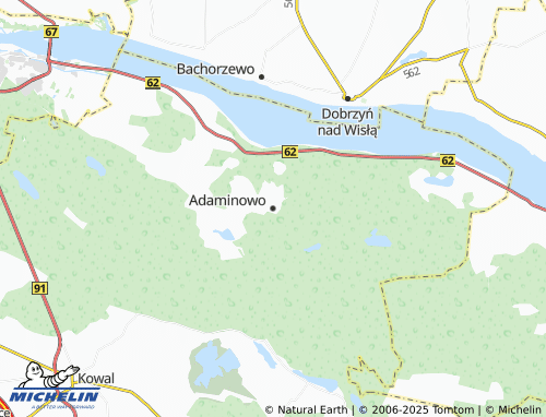 MICHELIN Adaminowo map - ViaMichelin