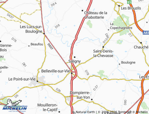 MICHELIN Saligny map - ViaMichelin
