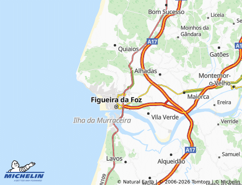 MICHELIN Tavarede map - ViaMichelin