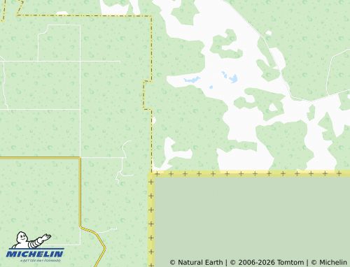 Mappa MICHELIN El Porvenir - ViaMichelin