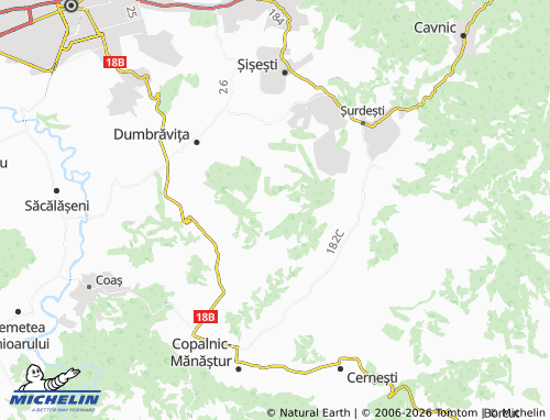 Mapa MICHELIN Cărpiniș - ViaMichelin