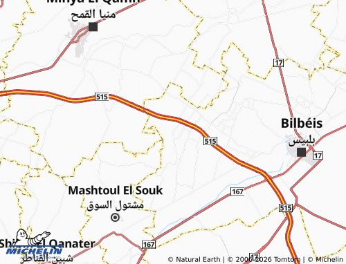 Mappa MICHELIN al-Balashoun - ViaMichelin