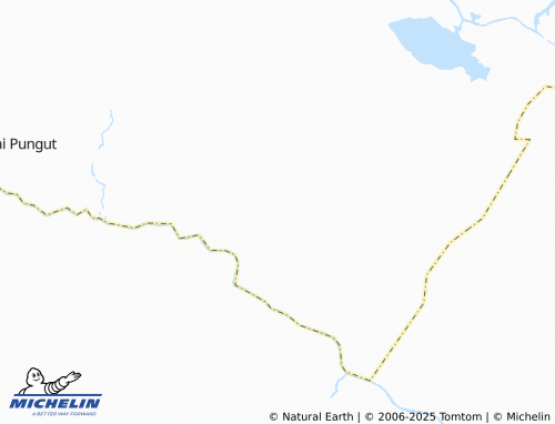 MICHELIN Beringin map - ViaMichelin
