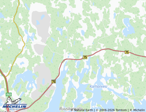 MICHELIN Säynesuo map - ViaMichelin