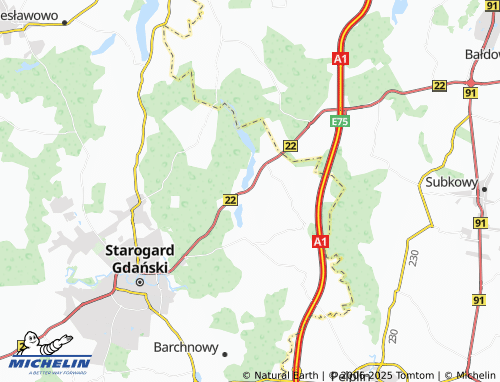 MICHELIN Szpęgawsk map - ViaMichelin