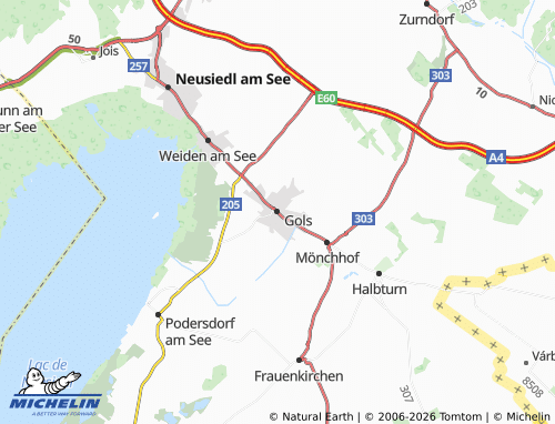 MICHELIN Gols map - ViaMichelin