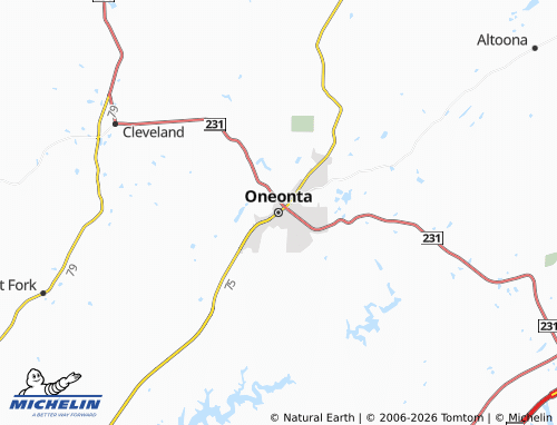 Carte MICHELIN Oneonta - ViaMichelin