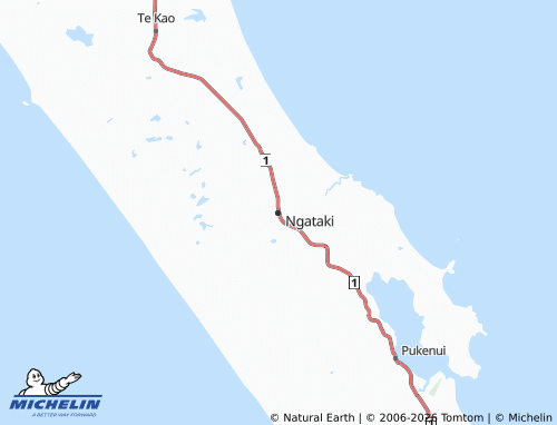 Mapa MICHELIN Ngataki - ViaMichelin
