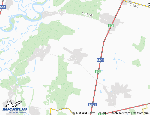 Mappa MICHELIN Pidlisne - ViaMichelin