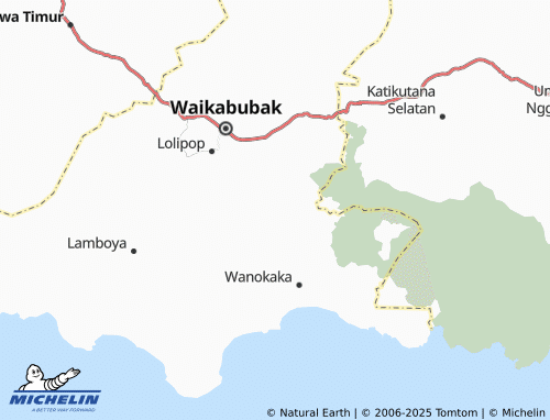 MICHELIN Ana Wolu map - ViaMichelin