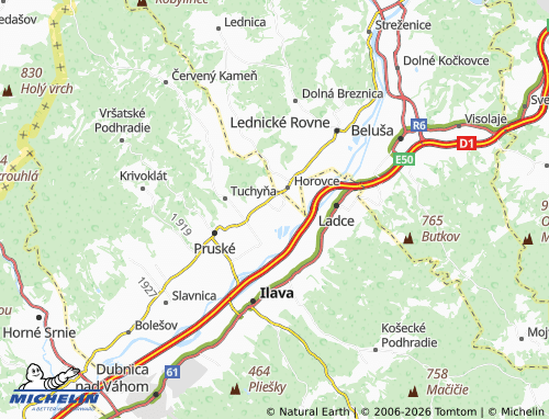 MICHELIN Dulov map - ViaMichelin