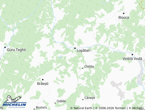 Mappa MICHELIN Vârteju - ViaMichelin