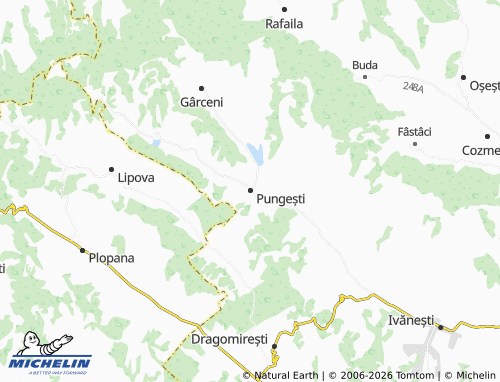 MICHELIN Pungești map - ViaMichelin