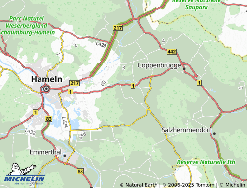 MICHELIN Diedersen map - ViaMichelin