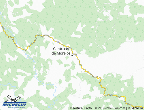 MICHELIN-Landkarte Centro - ViaMichelin