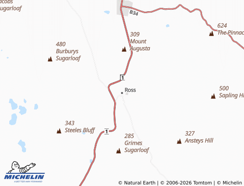 MICHELIN Ross map - ViaMichelin