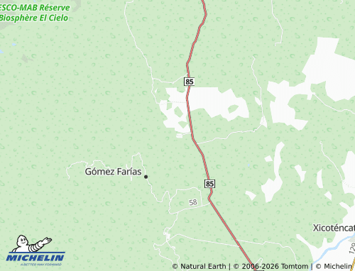 Mappa MICHELIN Vicente Guerrero - ViaMichelin