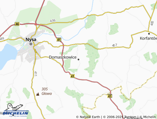 MICHELIN Domaszkowice map - ViaMichelin