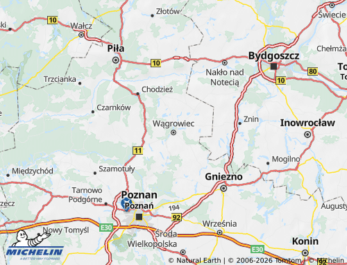 MICHELIN Wągrowiecki map - ViaMichelin