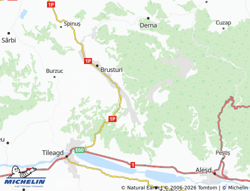 Mappa MICHELIN Țigăneștii De Criș - ViaMichelin