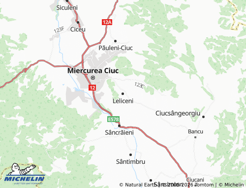 Mappa MICHELIN Leliceni - ViaMichelin