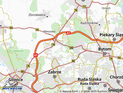 MICHELIN Rokitnica map - ViaMichelin