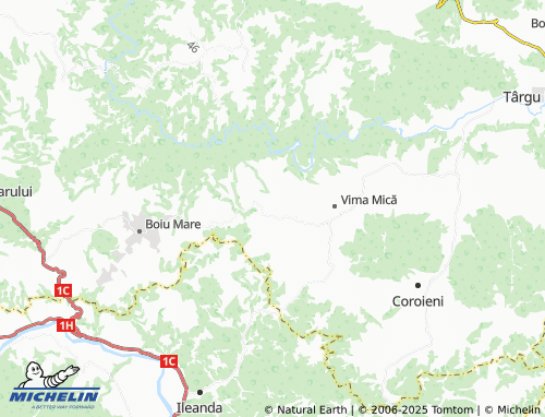 MICHELIN Sălnița map - ViaMichelin