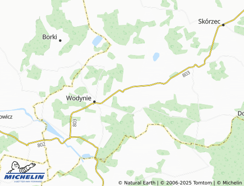 MICHELIN Oleśnica map - ViaMichelin