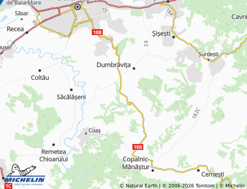 Mappa MICHELIN Cărbunari - ViaMichelin