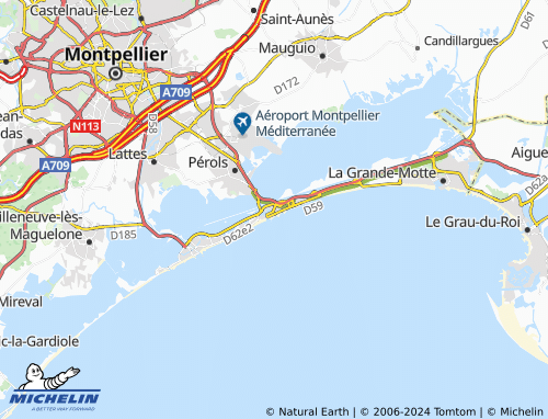 Carte MICHELIN Carnon - ViaMichelin