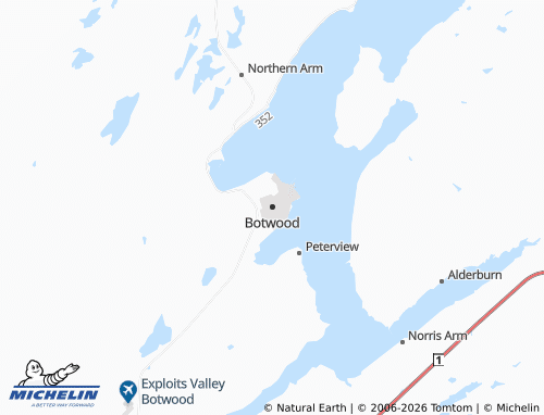 Kaart MICHELIN Botwood - ViaMichelin
