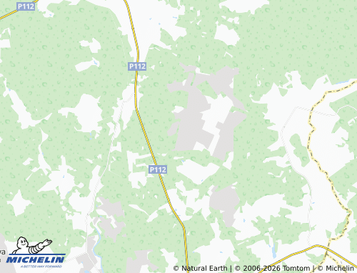 Carte MICHELIN Rus' SNT - ViaMichelin