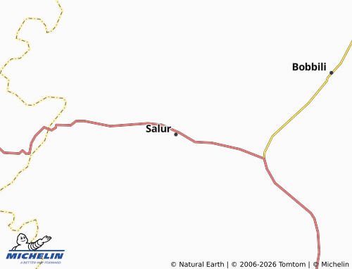 Mapa MICHELIN Salur - ViaMichelin