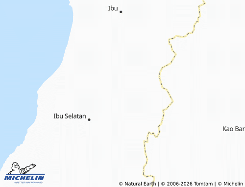 MICHELIN Nanas map - ViaMichelin