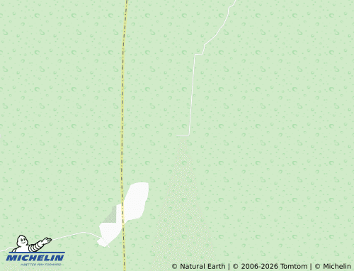 Mappa MICHELIN Miguel Alemán - ViaMichelin
