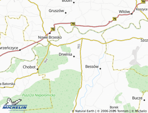 MICHELIN Drwinia map - ViaMichelin