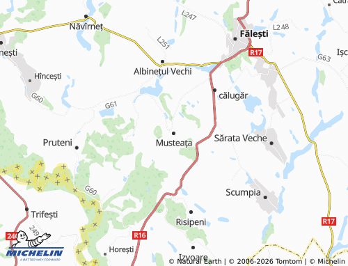 MICHELIN Musteața map - ViaMichelin